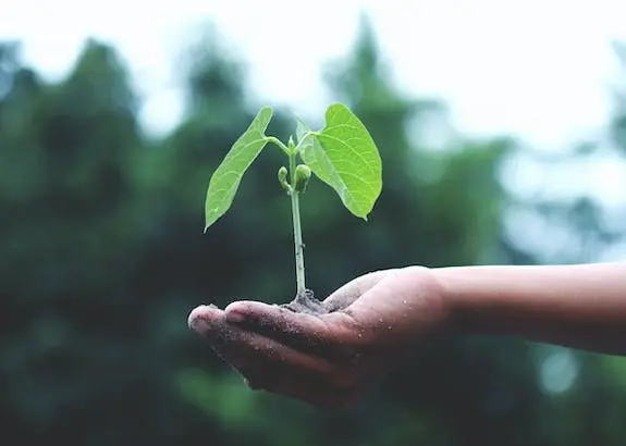 How you can help habitat for humanity